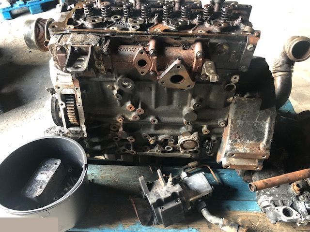 Deutz TCD 3.6 L4 - Głowica - Головка блока для Сельскохозяйственной техники: фото 1 Deutz TCD 3.6 L4 - Głowica - Головка блока для Сельскохозяйственной техники: фото 1