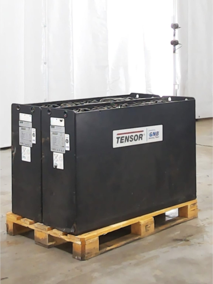 Аккумулятор для Погрузочно-разгрузочной техники Battery Package - 2 Pcs.: фото 1