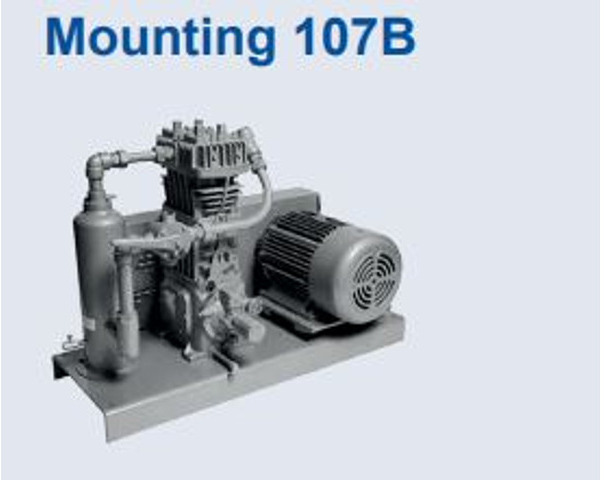 Новый Воздушный компрессор Corken 691 Compressor (mounted) Base plate/107 A/107B GAS, LPG, GPL, AUTOGAS Corken LPG/NH3 compressors are designed to transfer liquefied gases such as butane/propane mixtures (liquefied petroleum gas or LP: фото 6