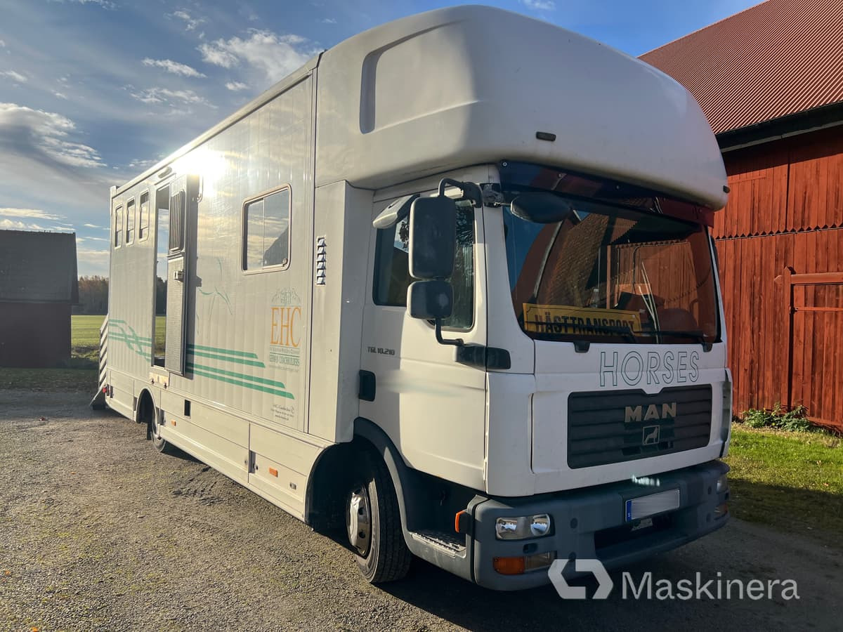Hästlastbil MAN TGL 10.210 4X2 BL - Коневоз: фото 3 Hästlastbil MAN TGL 10.210 4X2 BL - Коневоз: фото 3