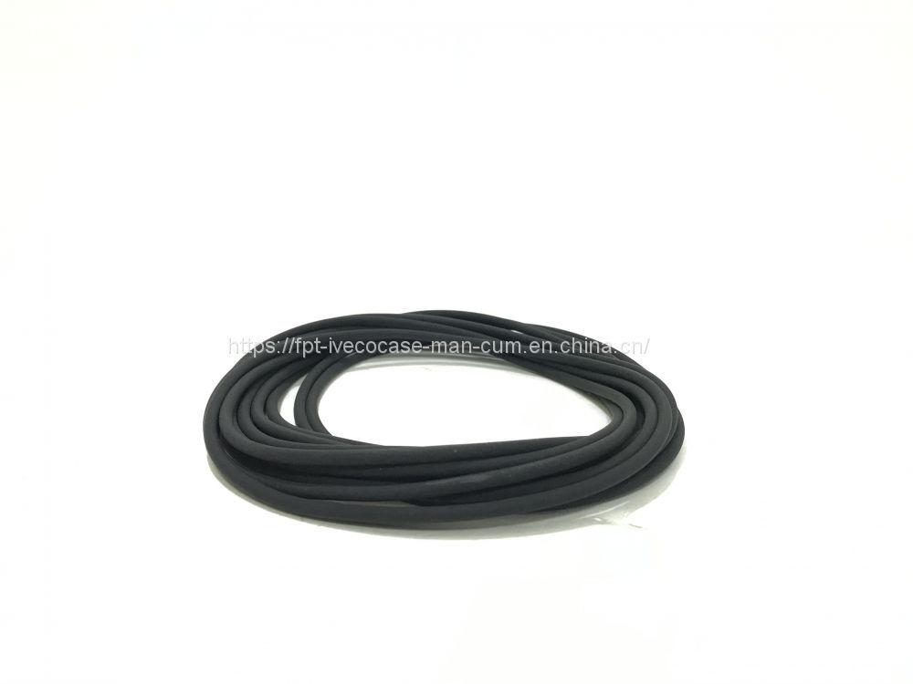 FPT IVECO CASE Cursor11 F3GFE613A B001 5801863562/5801690111 Liner seal ring 504372471 - Поршень/ Кольцо/ Втулка: фото 2 FPT IVECO CASE Cursor11 F3GFE613A B001 5801863562/5801690111 Liner seal ring 504372471 - Поршень/ Кольцо/ Втулка: фото 2