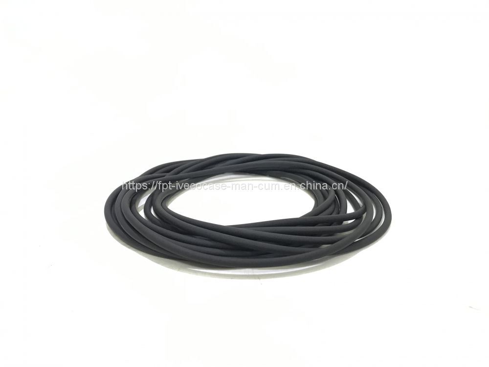 FPT IVECO CASE Cursor11 F3GFE613A B001 5801863562/5801690111 Liner seal ring 504372471 - Поршень/ Кольцо/ Втулка: фото 1 FPT IVECO CASE Cursor11 F3GFE613A B001 5801863562/5801690111 Liner seal ring 504372471 - Поршень/ Кольцо/ Втулка: фото 1