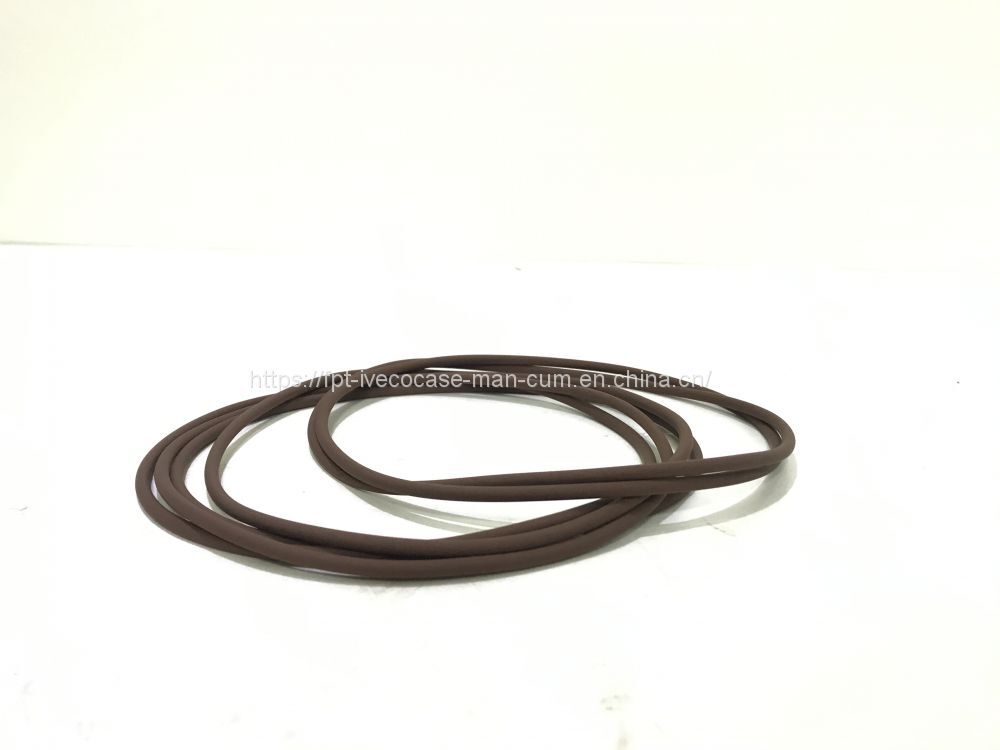 FPT IVECO CASE Cursor11 F3GFE613A B001 5801863562/5801690111 Liner seal ring 504372472 - Поршень/ Кольцо/ Втулка: фото 1 FPT IVECO CASE Cursor11 F3GFE613A B001 5801863562/5801690111 Liner seal ring 504372472 - Поршень/ Кольцо/ Втулка: фото 1