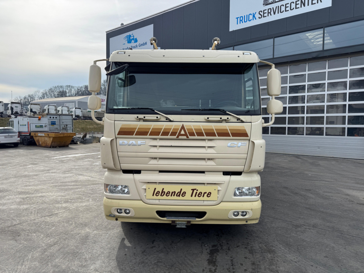 DAF CF410 4x2 - Грузовик для перевозки животных: фото 2 DAF CF410 4x2 - Грузовик для перевозки животных: фото 2