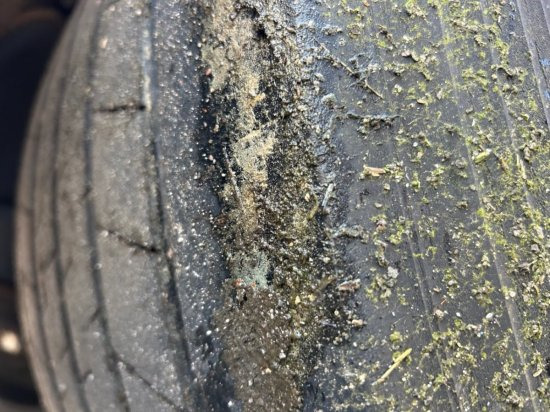 Тентованный полуприцеп Schwarzmüller Spezialauflieger Schräglader, Coilmulde mehrere Einheiten verfügbar: фото 12