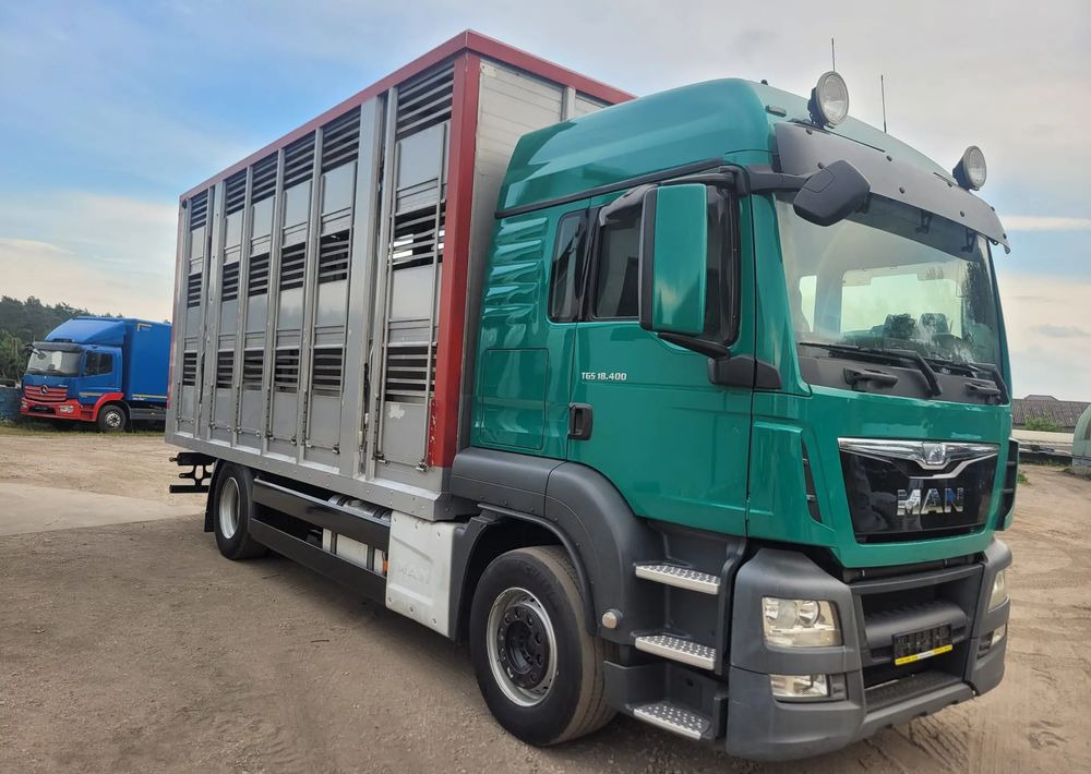 MAN TGS 18.400 Euro 6 do żywca - Грузовик для перевозки животных: фото 2 MAN TGS 18.400 Euro 6 do żywca - Грузовик для перевозки животных: фото 2