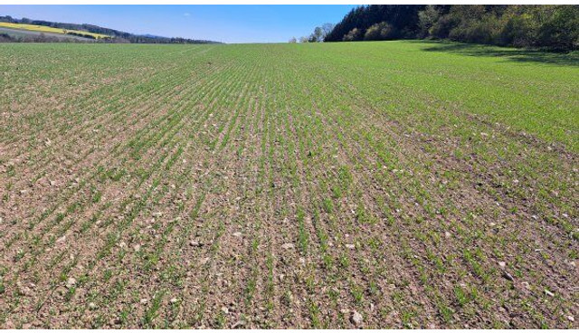 Farmet Falcon 6 PRO Fert+ - Посевной комплекс: фото 3 Farmet Falcon 6 PRO Fert+ - Посевной комплекс: фото 3