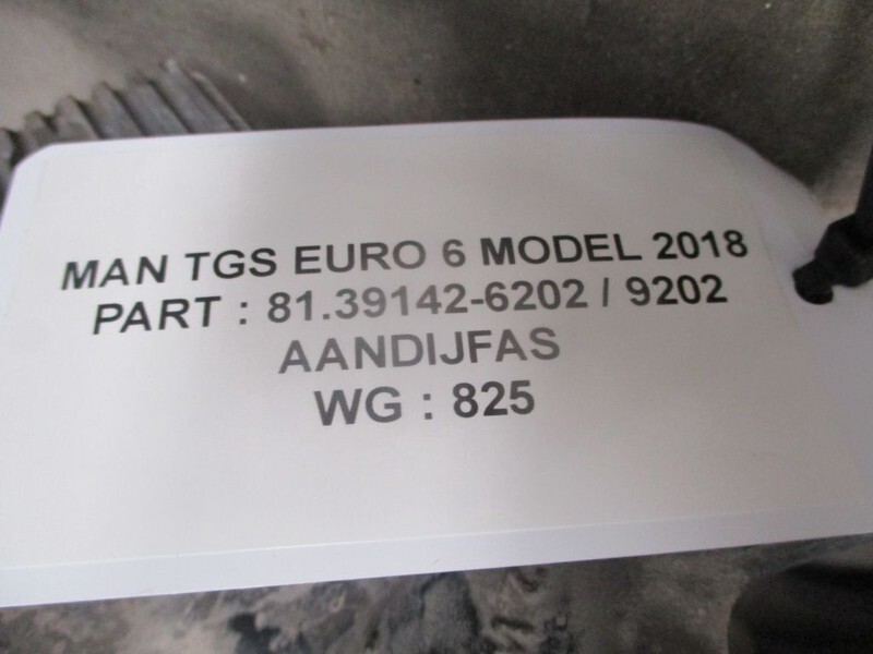 MAN TGS 81.39142-6202 / 9202 AANDRIJFAS EURO 6 MODEL 2019 - Приводный вал для Грузовиков: фото 2 MAN TGS 81.39142-6202 / 9202 AANDRIJFAS EURO 6 MODEL 2019 - Приводный вал для Грузовиков: фото 2
