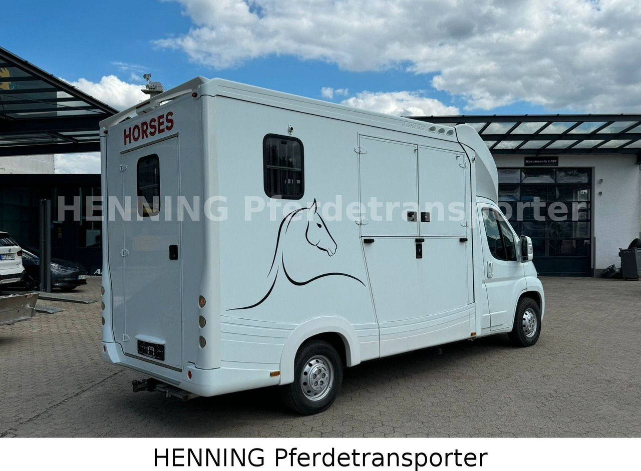 Fiat Ducato 3-Sitzer - Другая техника: фото 2 Fiat Ducato 3-Sitzer - Другая техника: фото 2