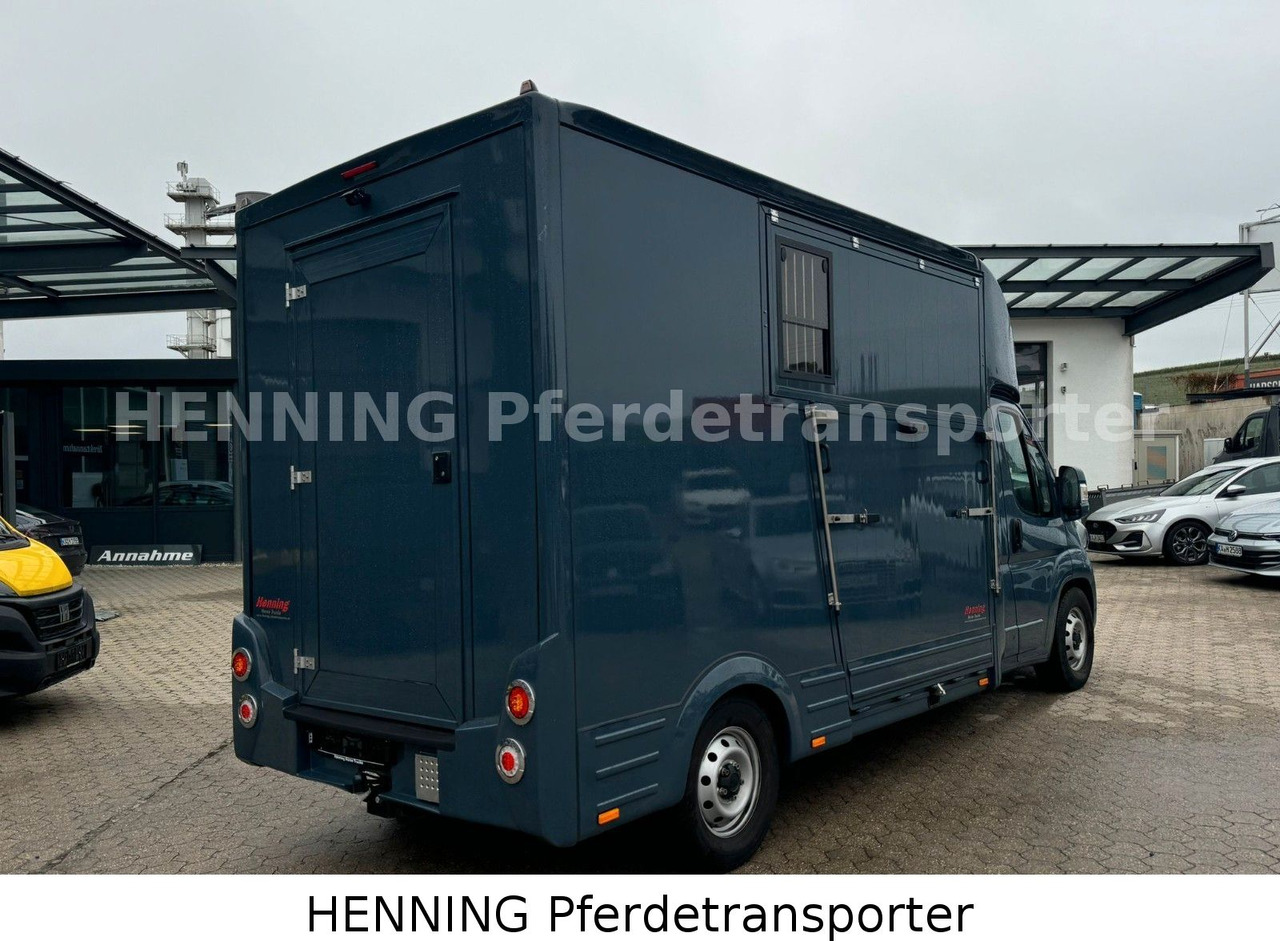 Fiat Ducato *AUTOMATIK* 3 - Sitzer - Грузовик для перевозки животных: фото 3 Fiat Ducato *AUTOMATIK* 3 - Sitzer - Грузовик для перевозки животных: фото 3