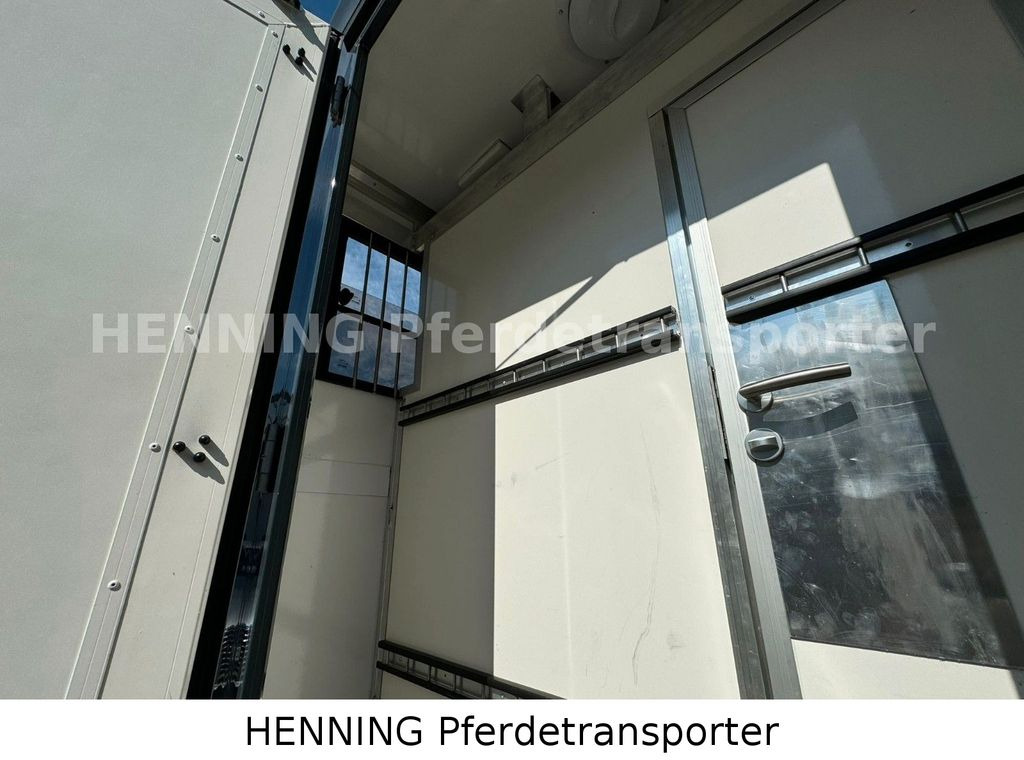 Коневоз, Фургон Renault Master 3 - Sitzer *SUPER KURZ*: фото 8