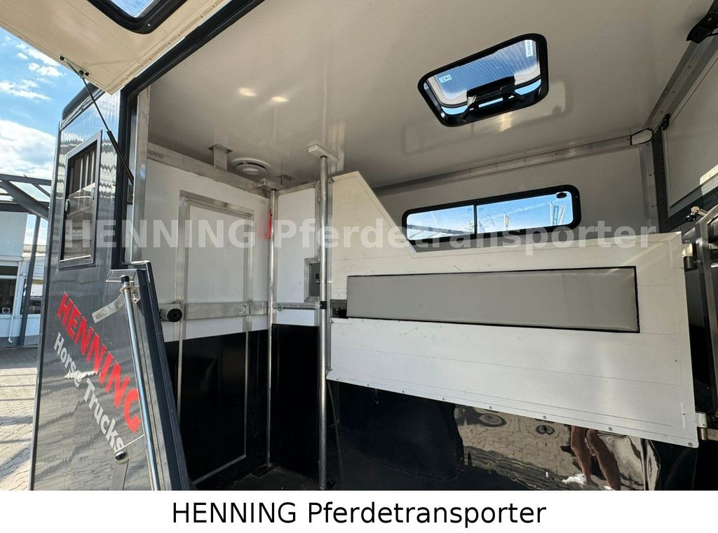 Коневоз, Фургон Renault Master 3 - Sitzer *SUPER KURZ*: фото 6