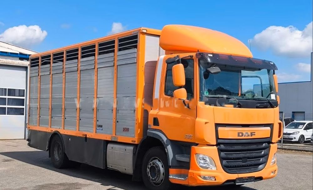 DAF CF 400 Menke Einstock | Transport zwierząt jednopoziomowy | 2 kratownice do bydła| Retarder | Euro 6 - Грузовик для перевозки животных: фото 5 DAF CF 400 Menke Einstock | Transport zwierząt jednopoziomowy | 2 kratownice do bydła| Retarder | Euro 6 - Грузовик для перевозки животных: фото 5