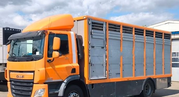 DAF CF 400 Menke Einstock | Transport zwierząt jednopoziomowy | 2 kratownice do bydła| Retarder | Euro 6 - Грузовик для перевозки животных: фото 3 DAF CF 400 Menke Einstock | Transport zwierząt jednopoziomowy | 2 kratownice do bydła| Retarder | Euro 6 - Грузовик для перевозки животных: фото 3