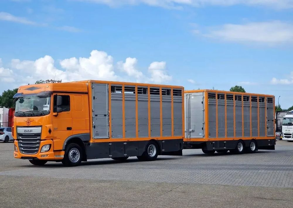 DAF XF 460 4x2 SpaceCab – Menke Livestock | 1 pokład | Euro 6 | 2016 - Грузовик для перевозки животных: фото 1 DAF XF 460 4x2 SpaceCab – Menke Livestock | 1 pokład | Euro 6 | 2016 - Грузовик для перевозки животных: фото 1