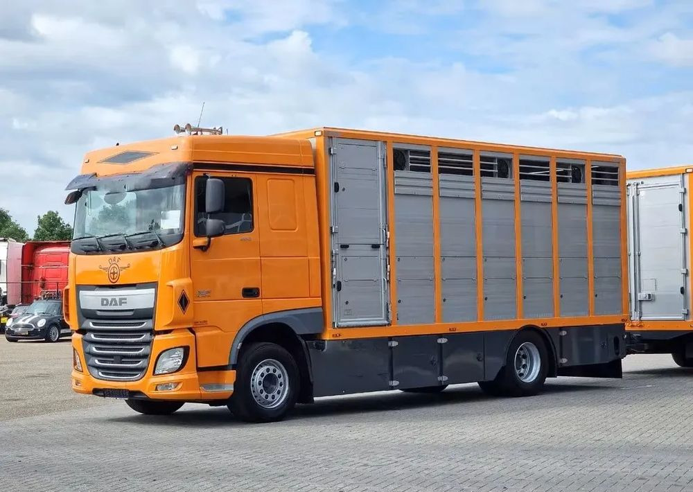 DAF XF 460 4x2 SpaceCab – Menke Livestock | 1 pokład | Euro 6 | 2016 - Грузовик для перевозки животных: фото 2 DAF XF 460 4x2 SpaceCab – Menke Livestock | 1 pokład | Euro 6 | 2016 - Грузовик для перевозки животных: фото 2