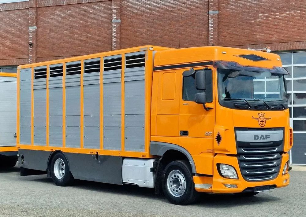 DAF XF 460 4x2 SpaceCab – Menke Livestock | 1 pokład | Euro 6 | 2016 - Грузовик для перевозки животных: фото 4 DAF XF 460 4x2 SpaceCab – Menke Livestock | 1 pokład | Euro 6 | 2016 - Грузовик для перевозки животных: фото 4