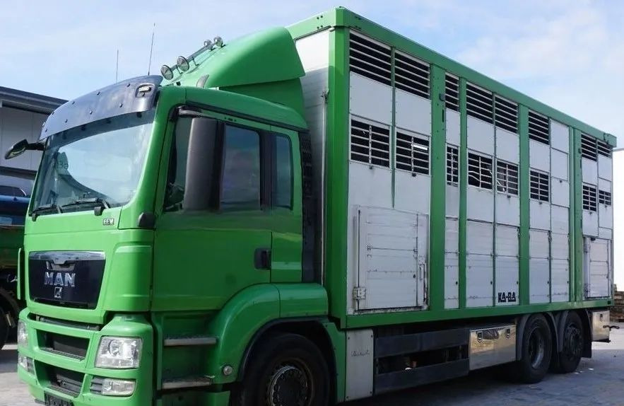 MAN TGS 26.440 ZABUDOWA KABA CAŁA ALUMINIOWA– samochód do transportu zwierząt/koni – 3 pokłady / EURO 5/6X2/PODNOSZONY DACH - Грузовик для перевозки животных: фото 1 MAN TGS 26.440 ZABUDOWA KABA CAŁA ALUMINIOWA– samochód do transportu zwierząt/koni – 3 pokłady / EURO 5/6X2/PODNOSZONY DACH - Грузовик для перевозки животных: фото 1