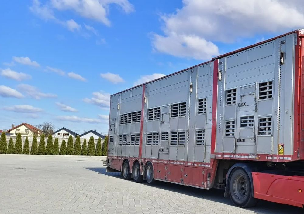 Pezzaioli SBA32/hydrauliczny dach/hydrauliczna rampa/ 3 poziomy/ 2xbydło -3xtrzoda/wentylatory/poidła/sterowanie pilotem - Полуприцеп для перевозки животных: фото 2 Pezzaioli SBA32/hydrauliczny dach/hydrauliczna rampa/ 3 poziomy/ 2xbydło -3xtrzoda/wentylatory/poidła/sterowanie pilotem - Полуприцеп для перевозки животных: фото 2