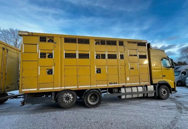 Volvo FH 420 • KABA • Transport Zwierząt 3xŚwinie/ 2xBydło 3-piętrowy • Euro 5 • Retarder • Oś podnoszona i skrętna - Грузовик для перевозки животных: фото 2 Volvo FH 420 • KABA • Transport Zwierząt 3xŚwinie/ 2xBydło 3-piętrowy • Euro 5 • Retarder • Oś podnoszona i skrętna - Грузовик для перевозки животных: фото 2