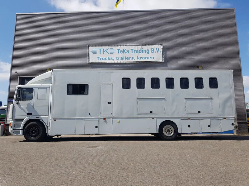DAF 95.350 Paardenwagen met zitverblijf 7 paarden 7 horses - Коневоз: фото 3 DAF 95.350 Paardenwagen met zitverblijf 7 paarden 7 horses - Коневоз: фото 3