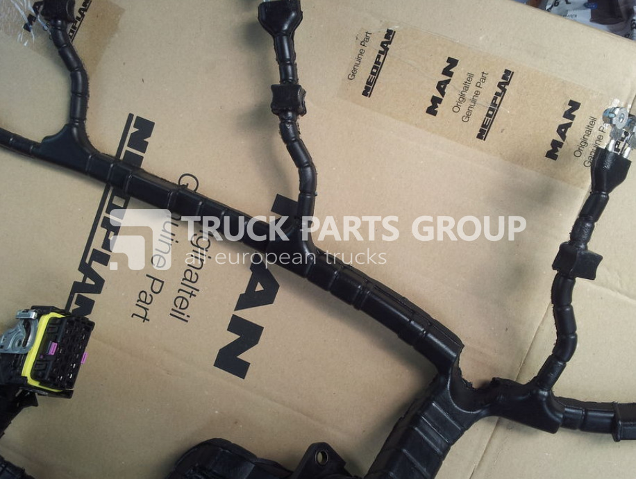 Новый Кабели/ Провода для Грузовиков MAN TGA, TGX, TGS, TGM, TGL, EURO3, EURO4, EURO5, EURO6 cable harnes wiring: фото 6 Новый Кабели/ Провода для Грузовиков MAN TGA, TGX, TGS, TGM, TGL, EURO3, EURO4, EURO5, EURO6 cable harnes wiring: фото 6
