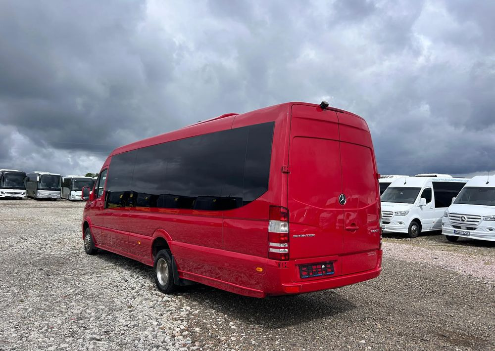 Микроавтобус, Пассажирский фургон Mercedes-Benz Sprinter 516: фото 7