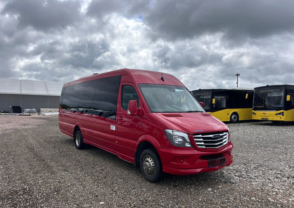 Микроавтобус, Пассажирский фургон Mercedes-Benz Sprinter 516: фото 9