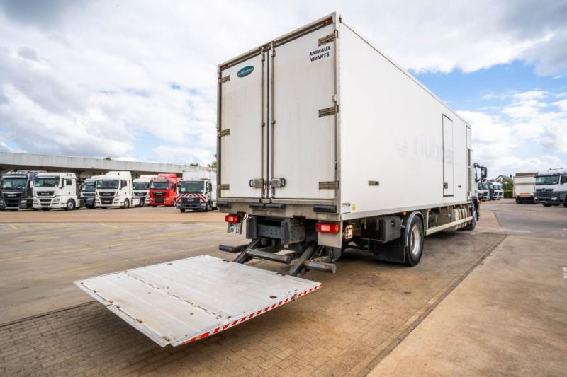 Volvo FM 9 300 GLOB+POUSSIN/CHICKEN/KUIKEN/KÛKEN - Рефрижератор: фото 5 Volvo FM 9 300 GLOB+POUSSIN/CHICKEN/KUIKEN/KÛKEN - Рефрижератор: фото 5