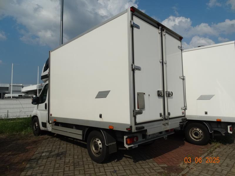 FIAT DUCATO CHŁODNIA/IZOTERMA - Фургон-рефрижератор: фото 3 FIAT DUCATO CHŁODNIA/IZOTERMA - Фургон-рефрижератор: фото 3