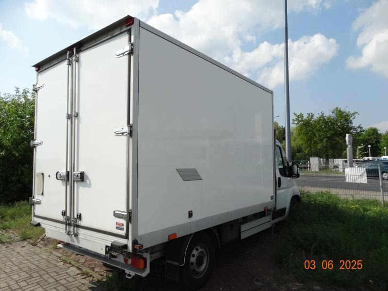 FIAT DUCATO CHŁODNIA/IZOTERMA - Фургон-рефрижератор: фото 4 FIAT DUCATO CHŁODNIA/IZOTERMA - Фургон-рефрижератор: фото 4