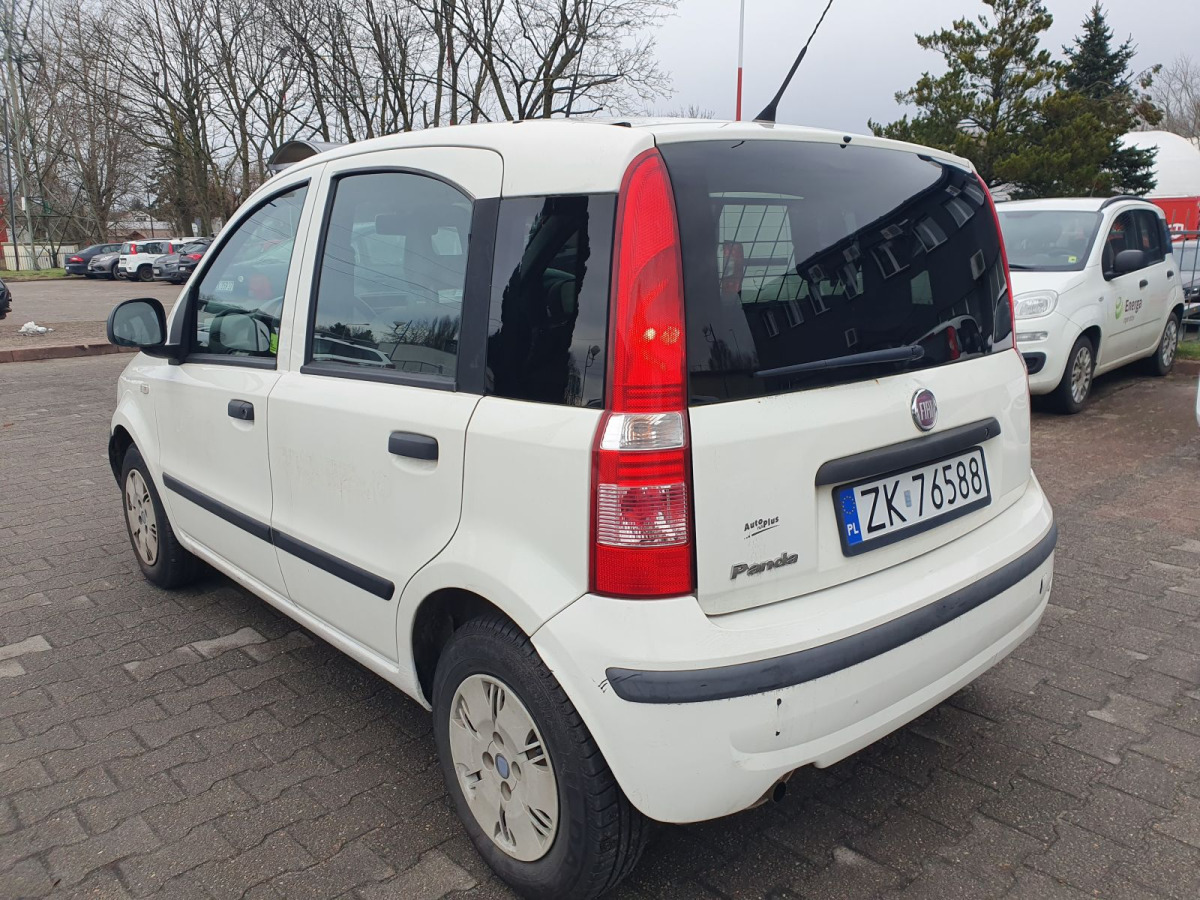 FIAT PANDA HATCHBACK - Легковой автомобиль: фото 3 FIAT PANDA HATCHBACK - Легковой автомобиль: фото 3