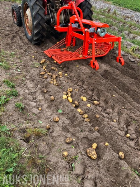 Dyrskun 2025 Potetopptaker PD50S til liten traktor med sideutkast - Сельскохозяйственная техника: фото 1 Dyrskun 2025 Potetopptaker PD50S til liten traktor med sideutkast - Сельскохозяйственная техника: фото 1