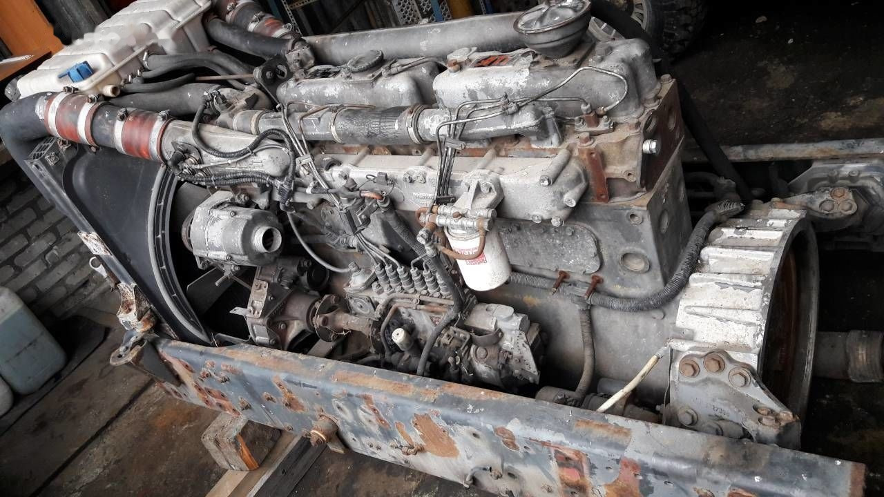 DAF WS 268 G DAF 95, 85 - Двигатель для Грузовиков: фото 1 DAF WS 268 G DAF 95, 85 - Двигатель для Грузовиков: фото 1