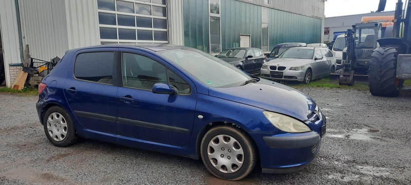 Peugeot 307 Grand Filou - Хэтчбек: фото 2 Peugeot 307 Grand Filou - Хэтчбек: фото 2