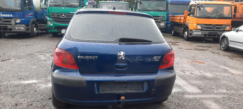 Peugeot 307 Grand Filou - Хэтчбек: фото 4 Peugeot 307 Grand Filou - Хэтчбек: фото 4