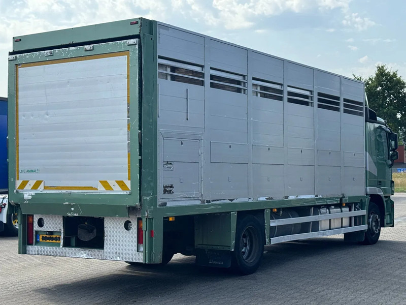 Mercedes-Benz Actros 1832 L 1 - 2 Stock Animal Transport - Грузовик для перевозки животных: фото 3 Mercedes-Benz Actros 1832 L 1 - 2 Stock Animal Transport - Грузовик для перевозки животных: фото 3