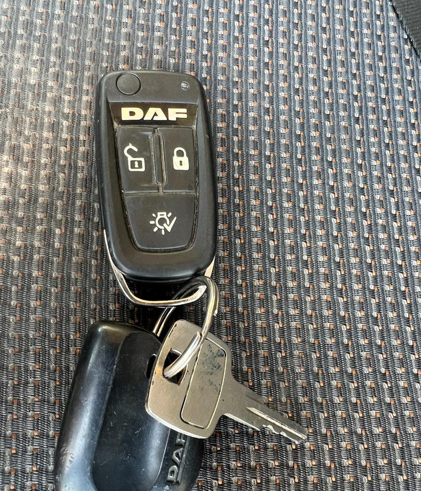 Грузовик с закрытым кузовом Daf lf 250 fa furgone 8 mt euro 6: фото 12