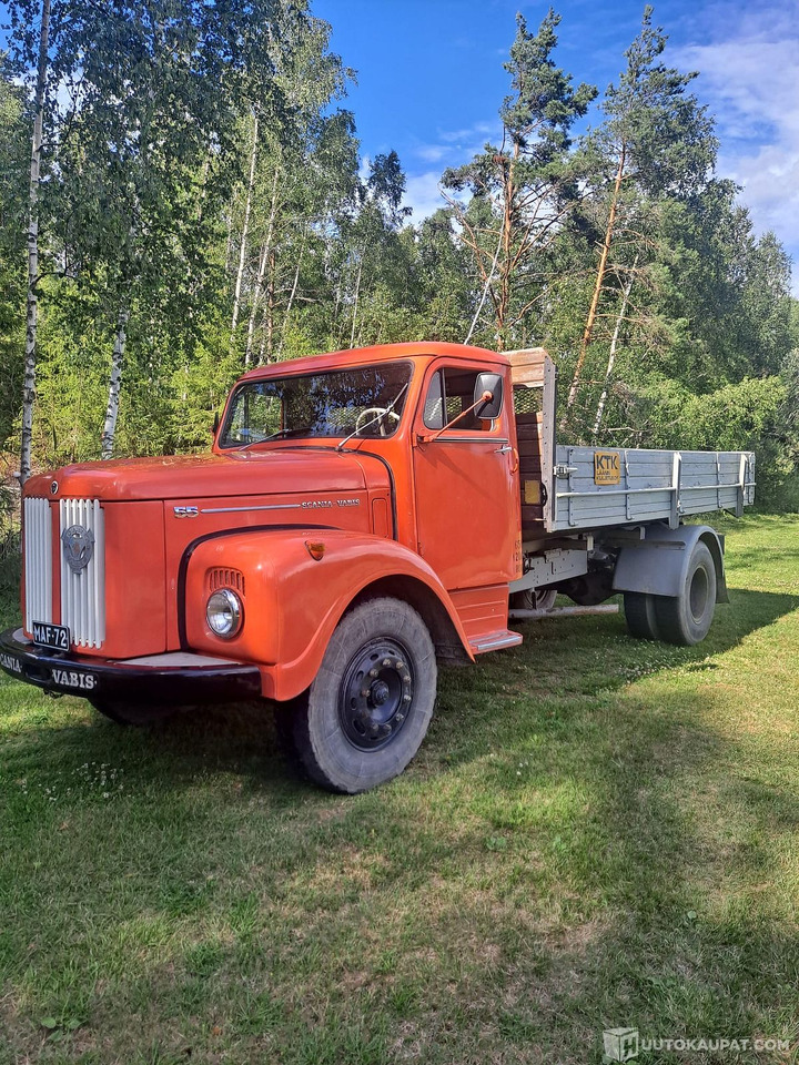 Scania Vabis 55 L5546-123/4600-62, kuorma-auto vaijerivaihtolavalaitteilla, leimaa vuoteen 2029, 1962, Rusko - Грузовик: фото 1 Scania Vabis 55 L5546-123/4600-62, kuorma-auto vaijerivaihtolavalaitteilla, leimaa vuoteen 2029, 1962, Rusko - Грузовик: фото 1