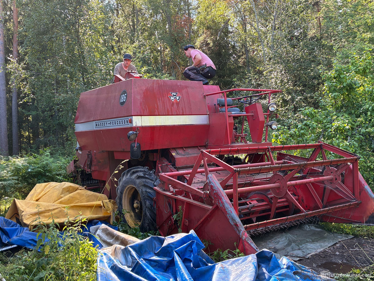Massey Ferguson 186 Leikkuupuimuri, Kangasala - Сельскохозяйственная техника: фото 5 Massey Ferguson 186 Leikkuupuimuri, Kangasala - Сельскохозяйственная техника: фото 5
