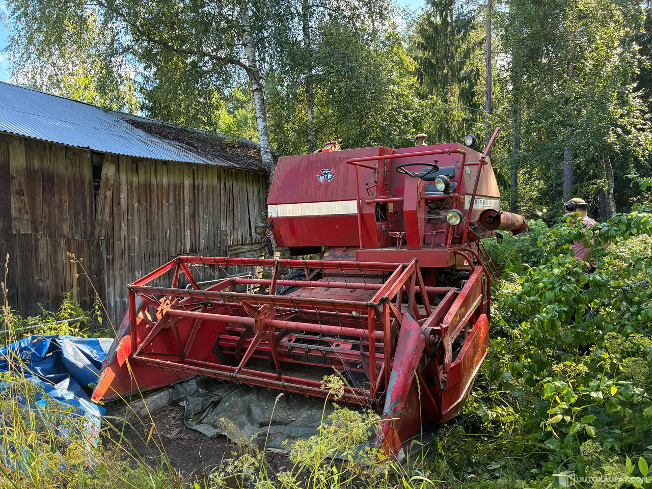 Massey Ferguson 186 Leikkuupuimuri, Kangasala - Сельскохозяйственная техника: фото 2 Massey Ferguson 186 Leikkuupuimuri, Kangasala - Сельскохозяйственная техника: фото 2