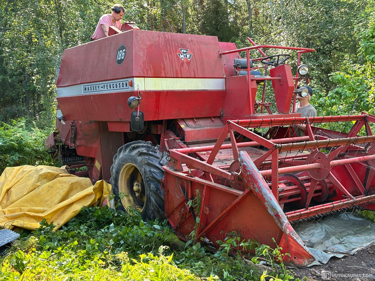 Massey Ferguson 186 Leikkuupuimuri, Kangasala - Сельскохозяйственная техника: фото 3 Massey Ferguson 186 Leikkuupuimuri, Kangasala - Сельскохозяйственная техника: фото 3