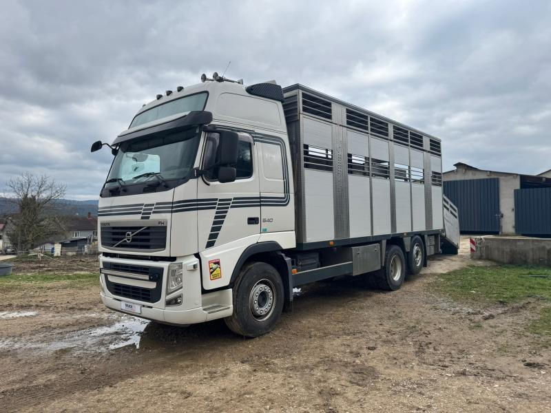 Volvo FH 540 - Грузовик для перевозки животных: фото 3 Volvo FH 540 - Грузовик для перевозки животных: фото 3