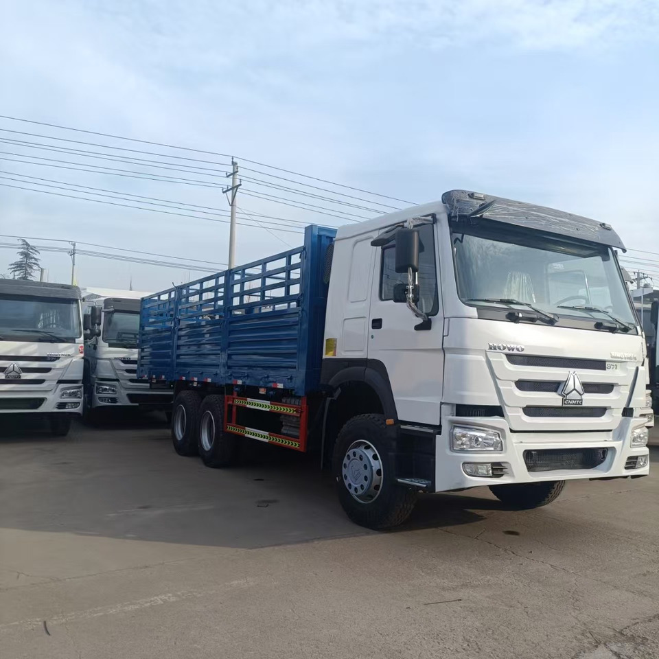 Грузовик SINOTRUK HOWO: фото 7