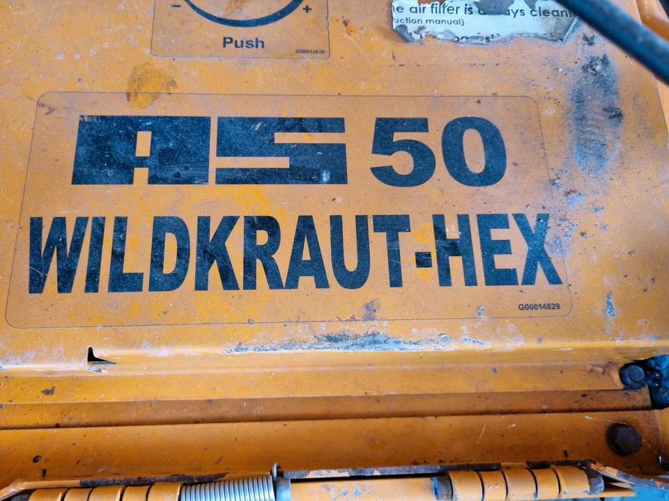 AS 50 Wildkraut-Hex Wildkrautbürste Unkrautentferner AS Mäher - Газонокосилка: фото 5 AS 50 Wildkraut-Hex Wildkrautbürste Unkrautentferner AS Mäher - Газонокосилка: фото 5