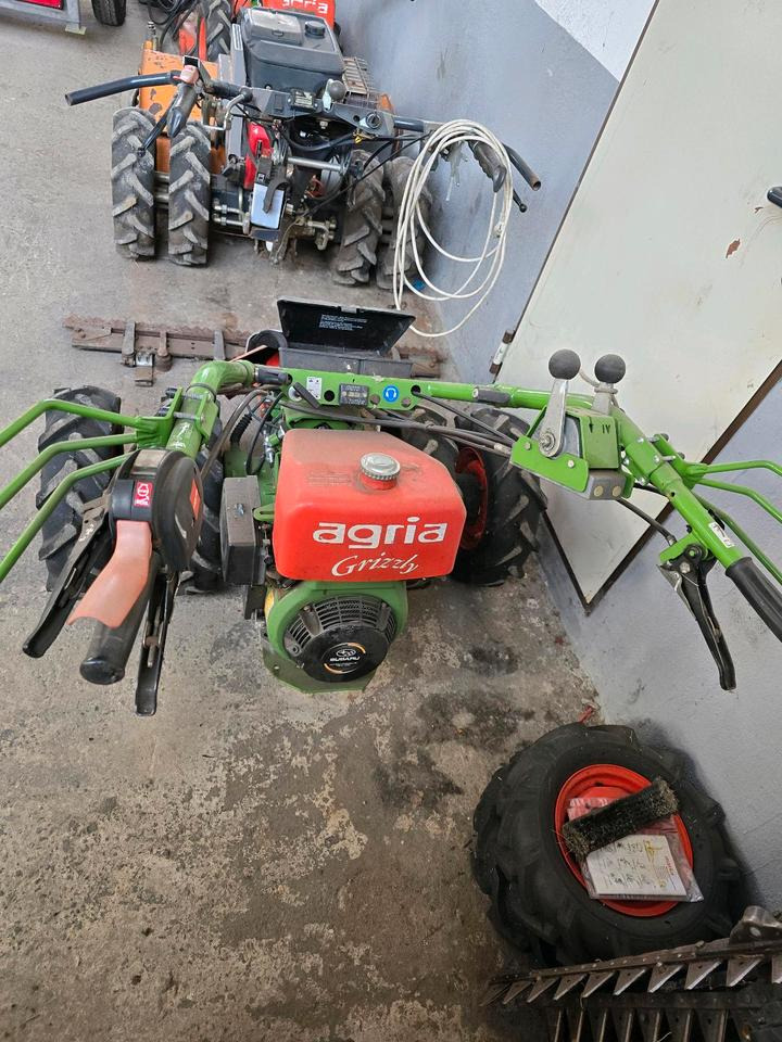 Agria Grizzly 5500 nur 163 Betriebsstunden Motormäher Böschungsmäher Böschungsmulcher Hangmäher Messerbalken Balkenmäher - Газонокосилка: фото 3 Agria Grizzly 5500 nur 163 Betriebsstunden Motormäher Böschungsmäher Böschungsmulcher Hangmäher Messerbalken Balkenmäher - Газонокосилка: фото 3