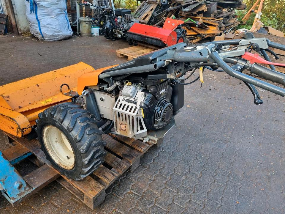 Motormäher Bucher Elite 14 Mulchmäher Agria Taifun Motormulcher Böschungsmulcher Böschungsmäher Seitenmulcher Mähausleger Bucher Irus Balkenmäher Hydrostat Mähraupe - Газонокосилка: фото 4 Motormäher Bucher Elite 14 Mulchmäher Agria Taifun Motormulcher Böschungsmulcher Böschungsmäher Seitenmulcher Mähausleger Bucher Irus Balkenmäher Hydrostat Mähraupe - Газонокосилка: фото 4