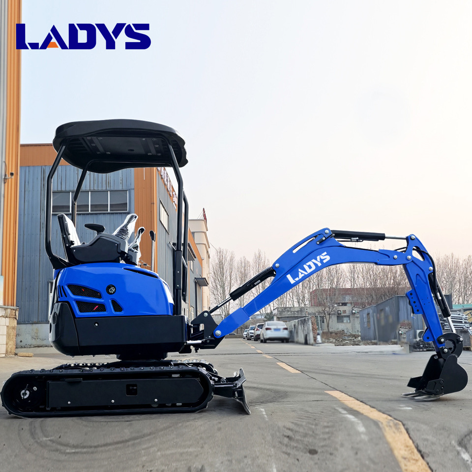 Новый Гусеничный экскаватор Free Shipping Mini Excavator Bagger Pelle Miniexcavadora 1 2 3.5  Ton CE/EPA/EURO 5  Kubota Engine Diesel/Electric Mini Excavators For Sale: фото 7