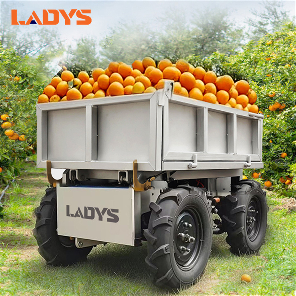 LADYS Electric Remote Control Transporter Agricultural Orchard Farm Electric Utv Material Handling Equipment All Terrain Transport Vehicle - Квадроцикл: фото 1 LADYS Electric Remote Control Transporter Agricultural Orchard Farm Electric Utv Material Handling Equipment All Terrain Transport Vehicle - Квадроцикл: фото 1