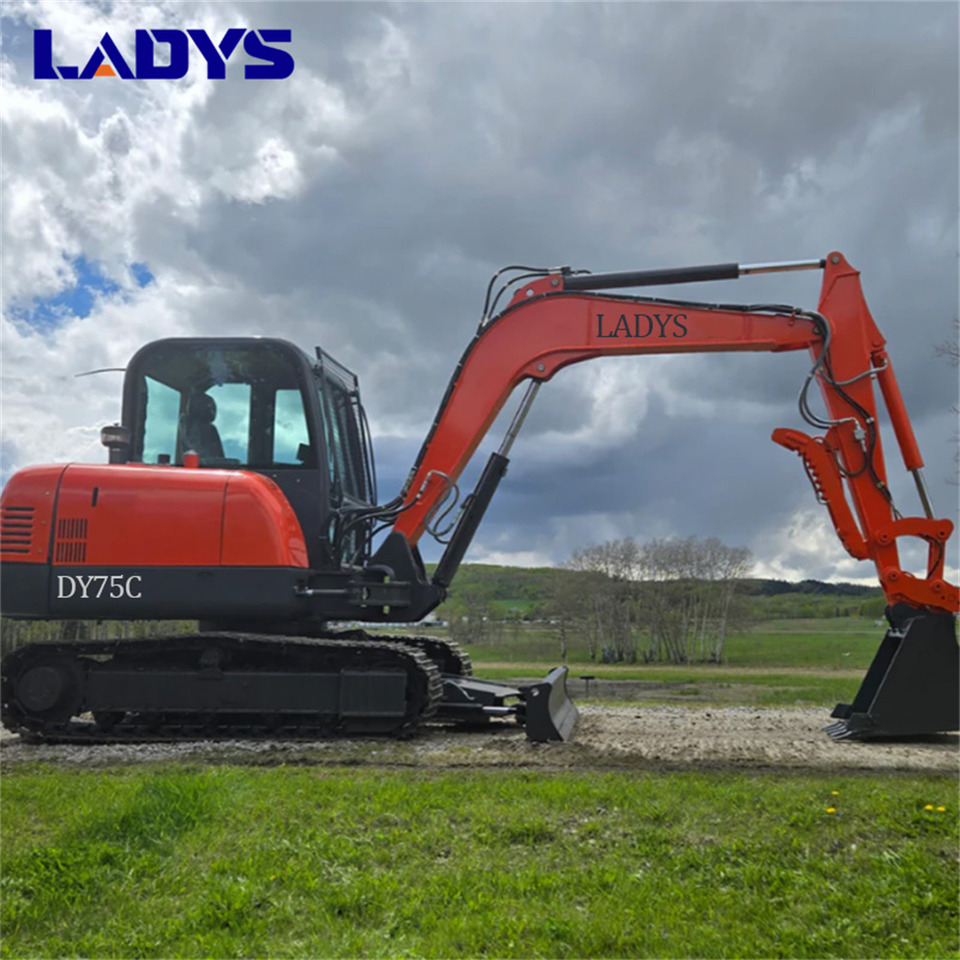 LADYS DY75C Small Excavator Euro 5/Epa Yanmar Engine Small Excavator Crawler Excavator For Sale - Гусеничный экскаватор: фото 1 LADYS DY75C Small Excavator Euro 5/Epa Yanmar Engine Small Excavator Crawler Excavator For Sale - Гусеничный экскаватор: фото 1